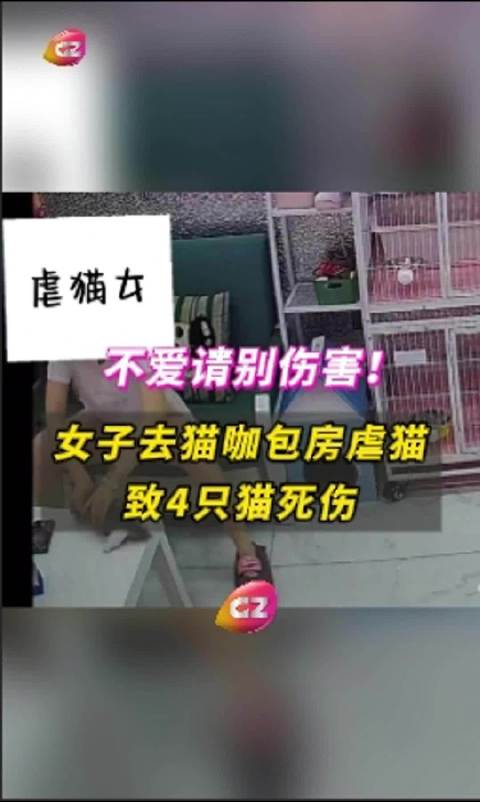 游戏专题 第77页