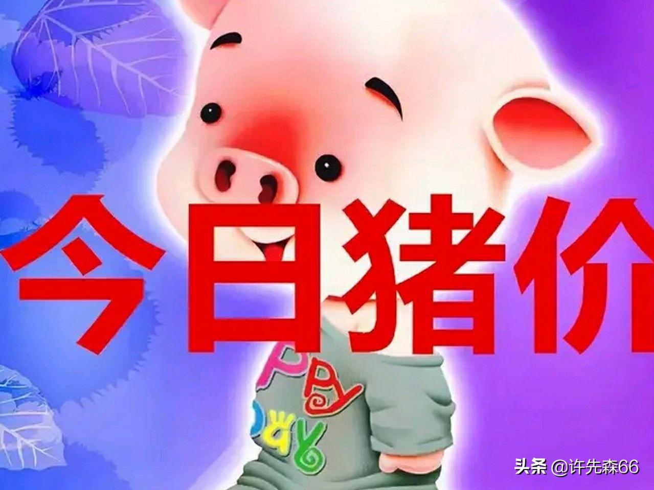 娱乐生活 第76页