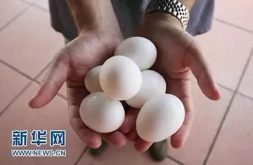 港澳新闻 第41页