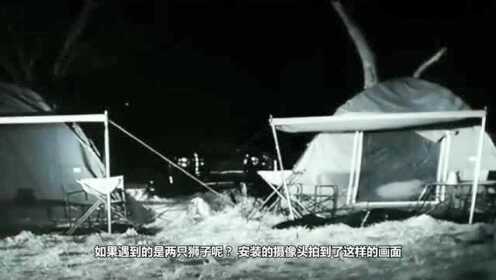 野外露营遇到的灵异事件野外露营遭遇灵异事件，探险者的惊险之旅