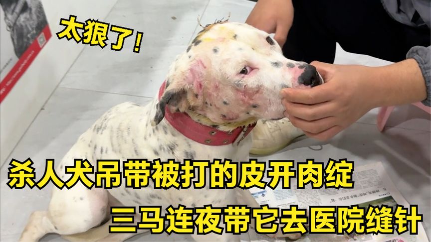 咬掉穿戴甲救人护士：很痛但应该的这句话表达了一种强烈的责任感和勇气，体现了护士在紧急情况下为了救助他人而毫不犹豫地采取行动的决心。在这种情况下，护士可能会面临一些疼痛和不适，但她认为这是值得的，因为她正在拯救一个人的生命。这种无私奉献的精神值得我们尊重和赞扬。