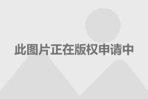 阅兵展示的武器阅兵展示的武器，震撼人心的力量展现